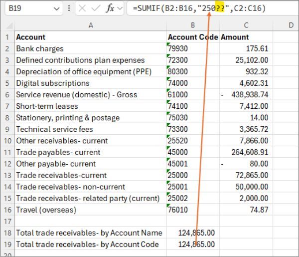 Excel SUMIF formula using the 250 question-mark wildcard on account codes, returning the same total of 124,865.00.
